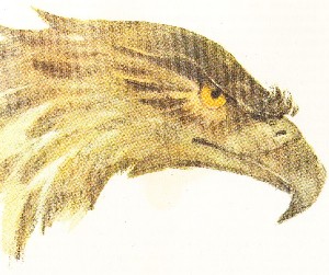 Гигантская птица